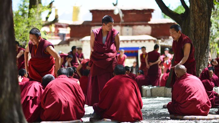 Monks Debating at Sera Monastery