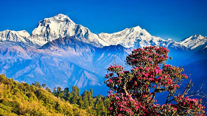 Best Time to Visit Nepal, Climate Guide
