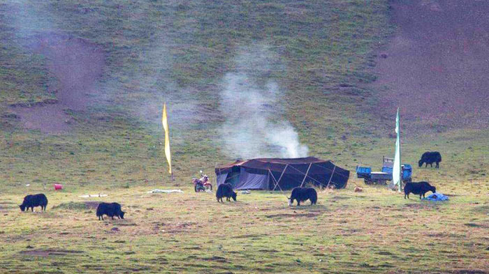  Tents for Tibetan Nomads 
