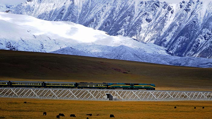  Tibet Train 