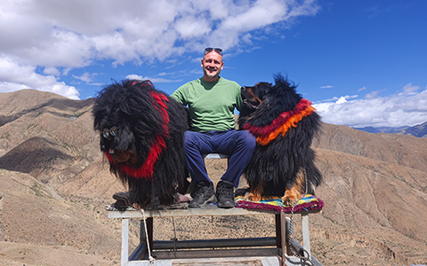Fun Facts about Tibetan Mastiff: Guide for Interacting on a Tibet Tour