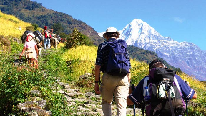  Trekking in Nepal 