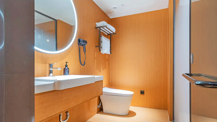 Modern Western-Style Toilets in Tibet Hotels