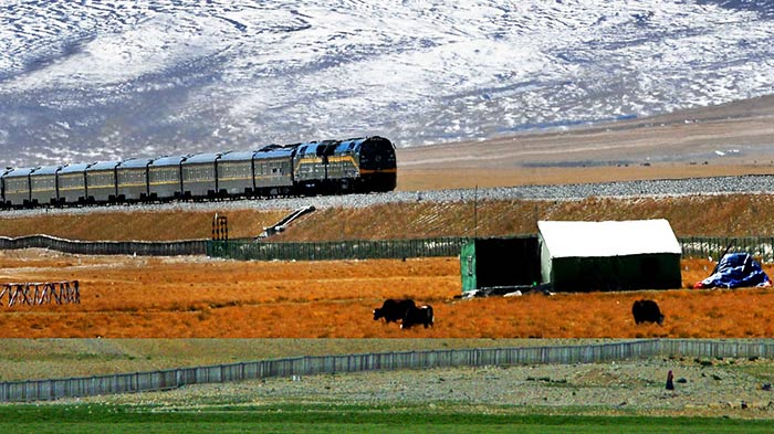 Trains from Xining to Lhasa