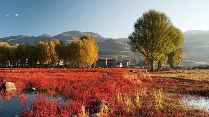 Yading Nature Reserve