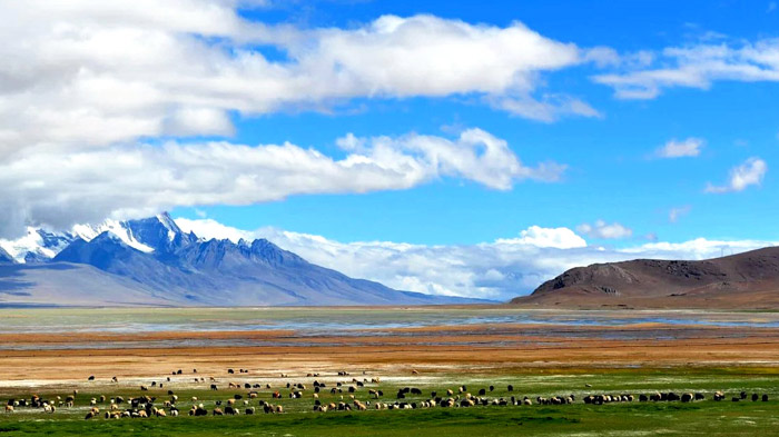 Yadong Valley in Tibet
