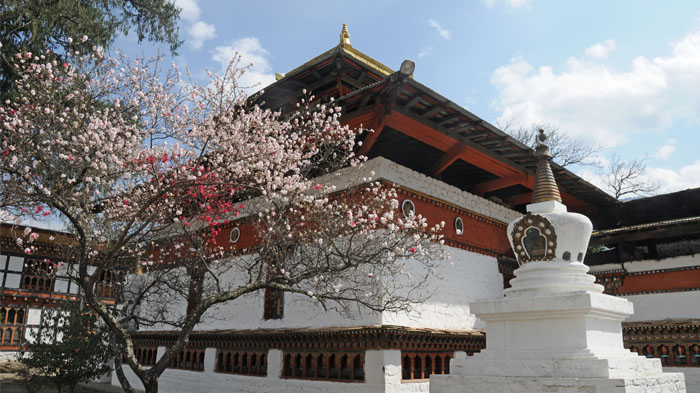  Kyichu Lhakhang in Spring 