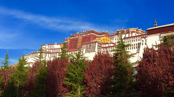 Potala Palace is glowing in the bright sunlight.