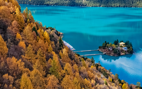 9 Days Tibet Autumn Foliage Tour: Journey from Nyingchi's Colorful Forests to Holy Lhasa & Heavenly Namtso Lake