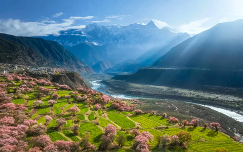 Best Time to Visit Nyingchi: Far Beyond Peach Blossoms in Spring 