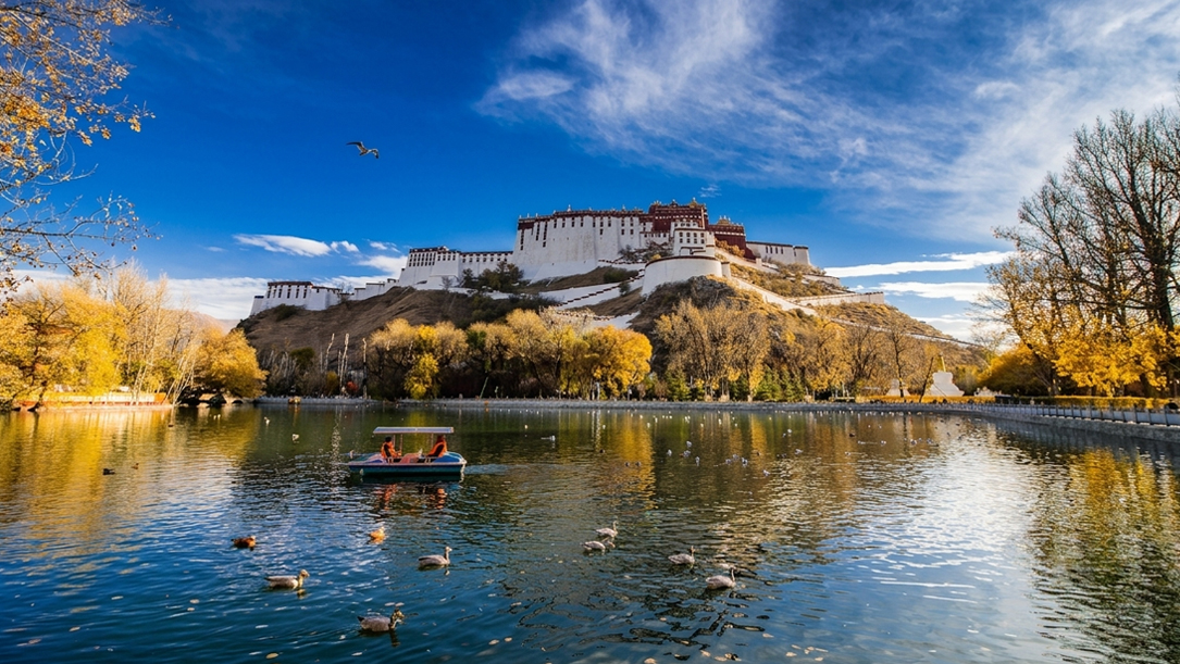 capture stunning Potala Palace in autumn in lhasa