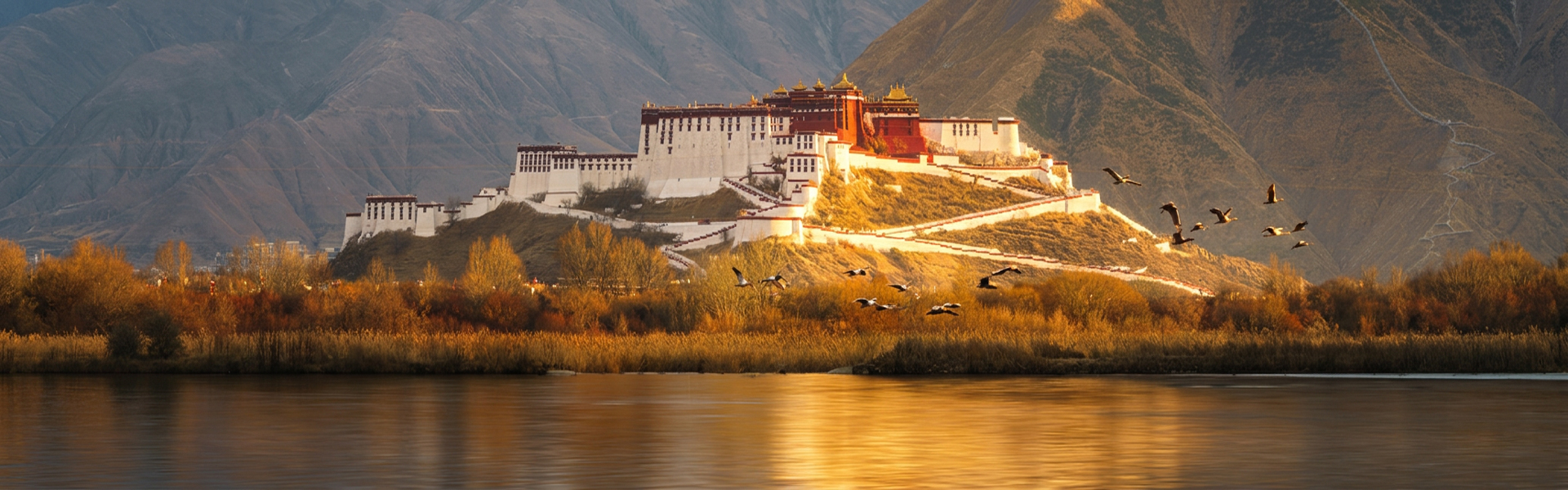 enjoy potala palace sunset at lhasa lalu wetland in autumn