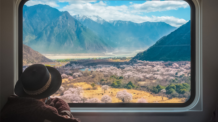 enjoy scenic lhasa to nyingchi bullet train in spring