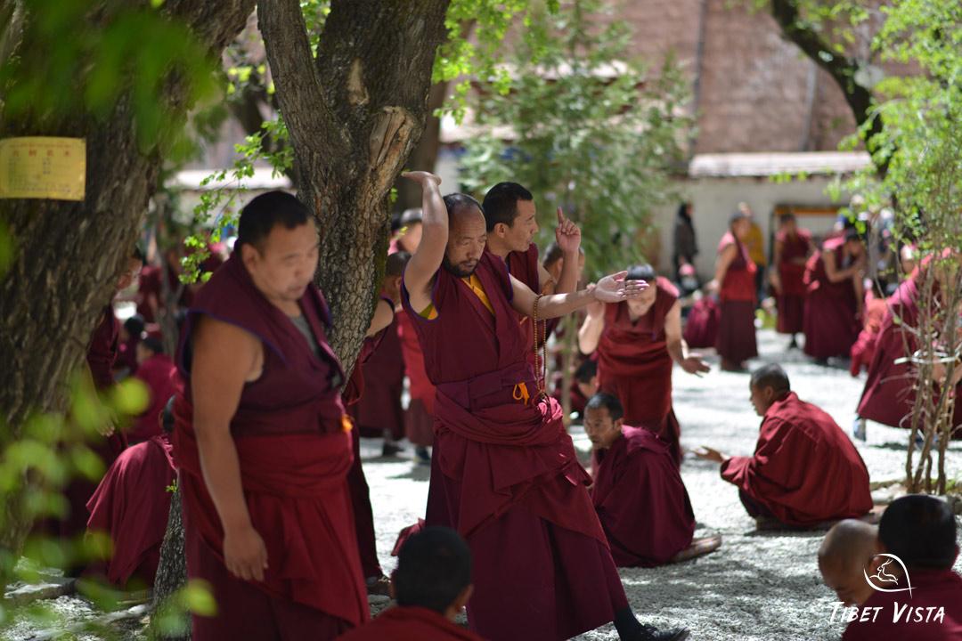Intriguing Tibetan monk debate in Sera Monastey