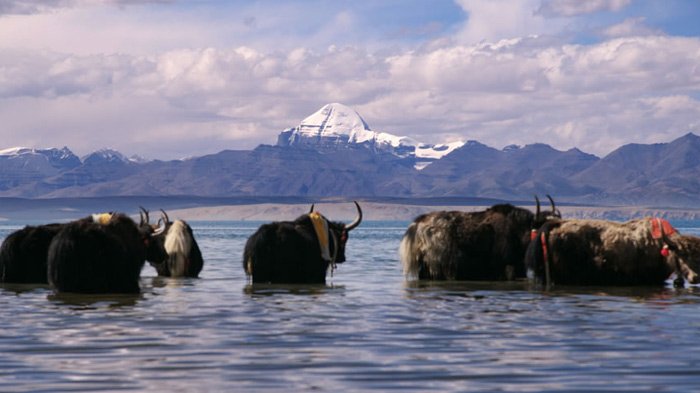 Mt. kailash and manasarovar lake 