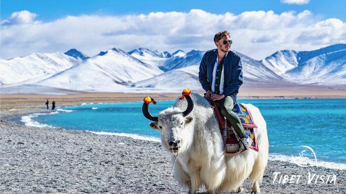 rode on Tibetan yaks at Namtso Lake