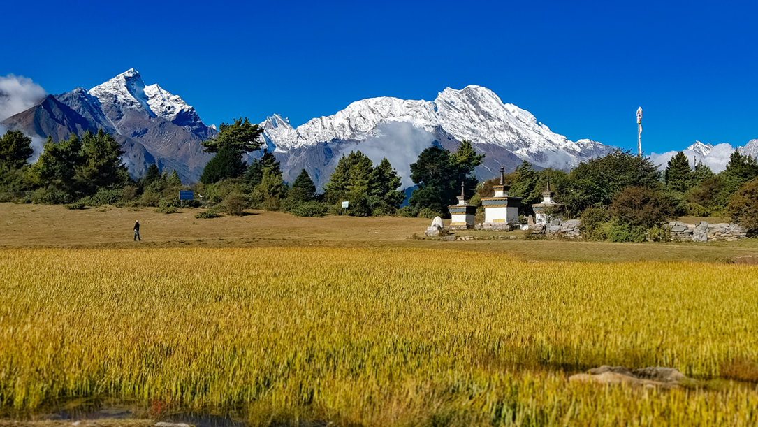 stroll through naixia village and enjoy epic himalayan views in gyirong