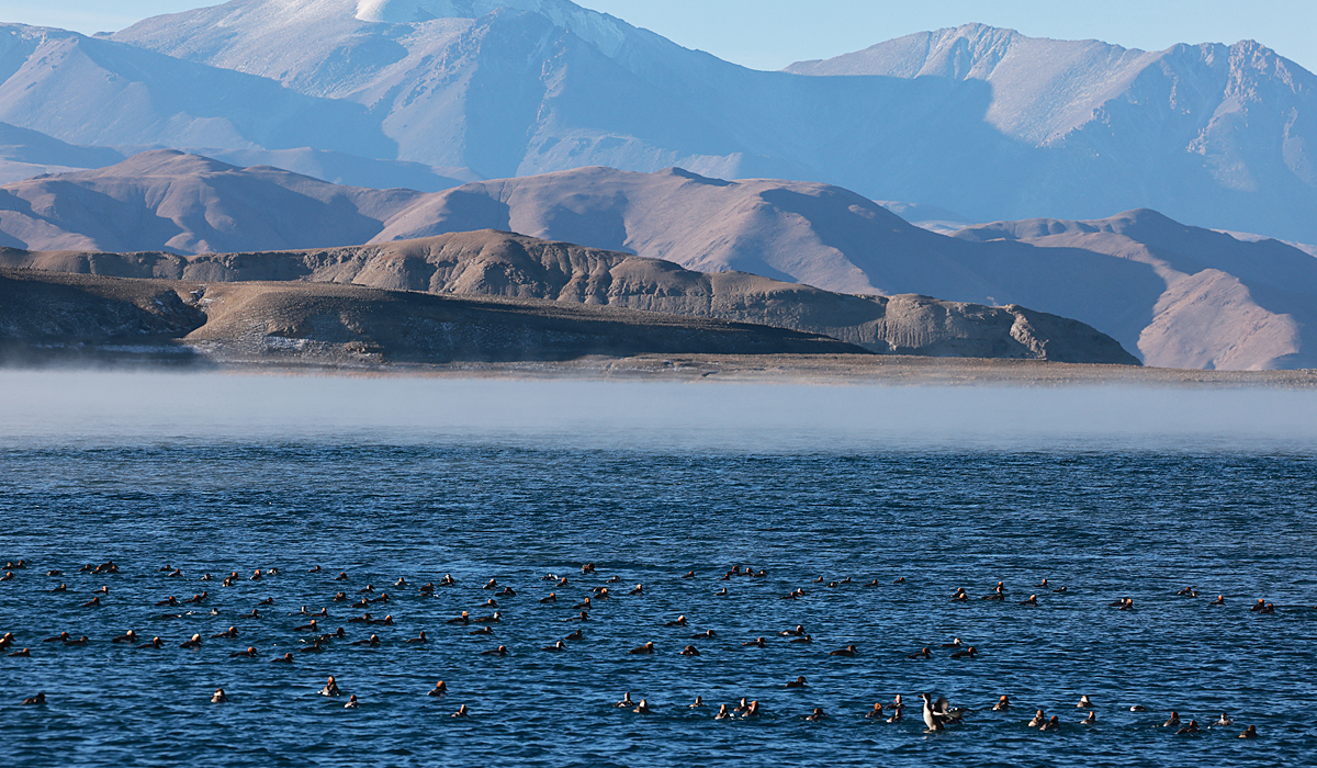 Pangong Lake