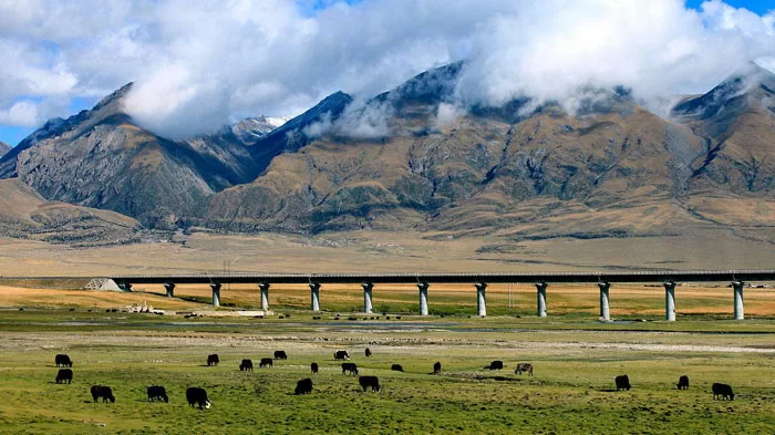 Qinghai Tibet Railway View