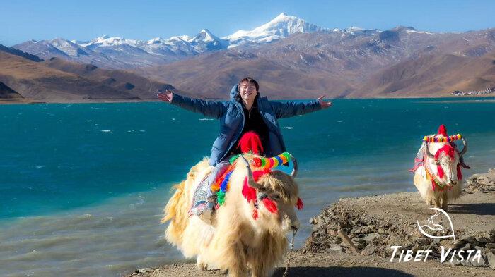 took photos with white tibetan yaks
