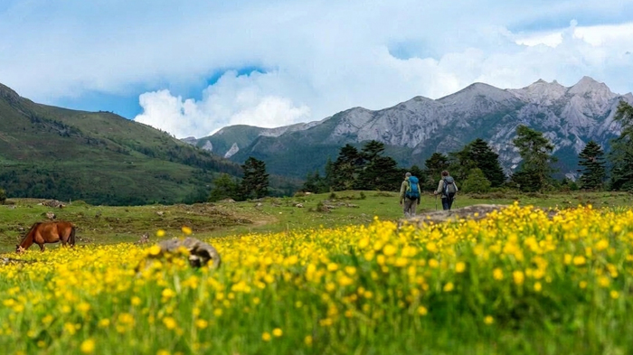 Trek through Niru Village