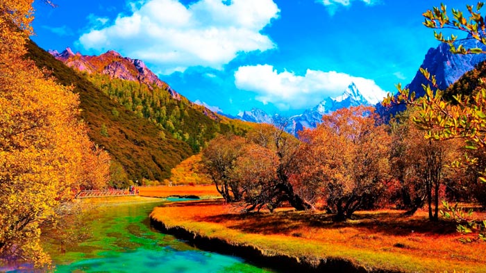 How to Visit Tibet: Best Guide to Tibet Visit