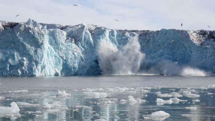 Ice and glacier for making the purified mineral water