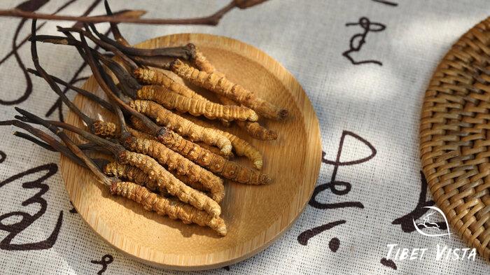 The high-quality Tibetan Cordyceps