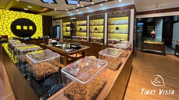 Tibetan Cordyceps available at a local Tibetan pharmacy