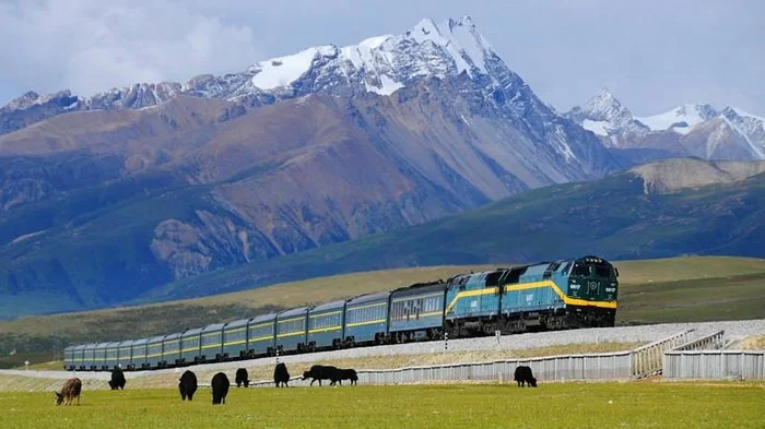 The Qinghai - Tibet Railway