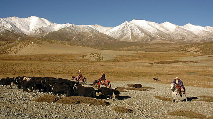 Tibetan nomads