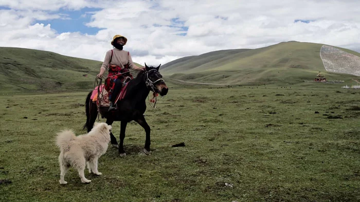 meet Tibetan nomads