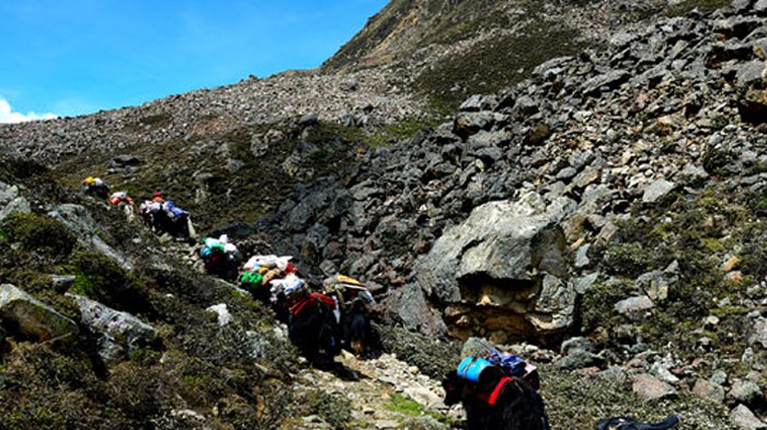 Ganden-Samye Trekking in June