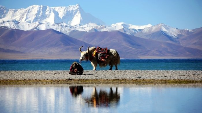 Namtso Lake in June