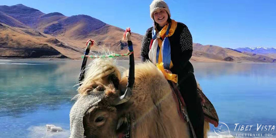 Enjoy a short yak ride around the Lake Yamdrok