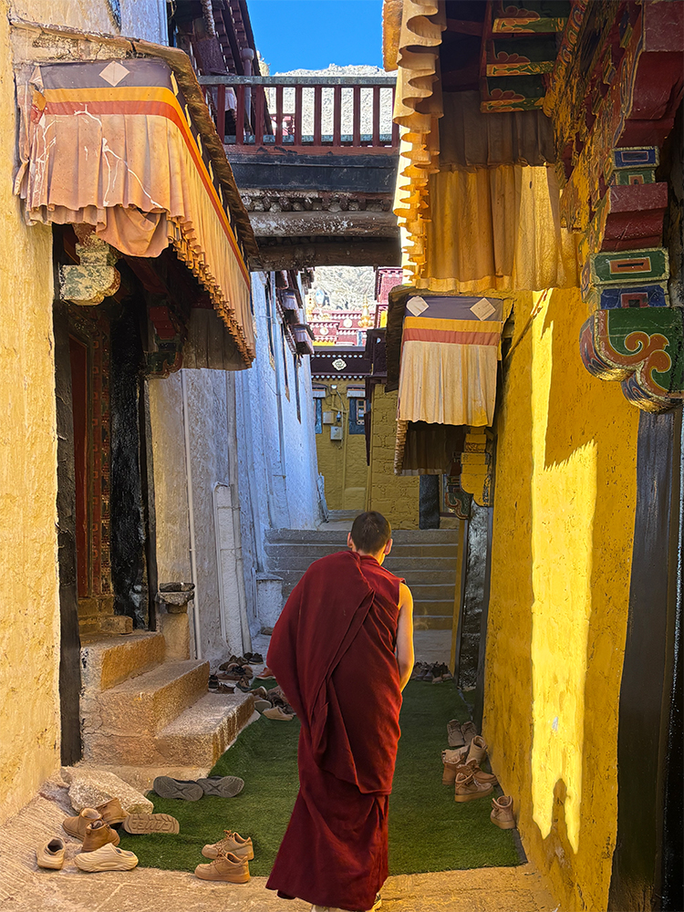 Monks in red robes at Sera Monastery