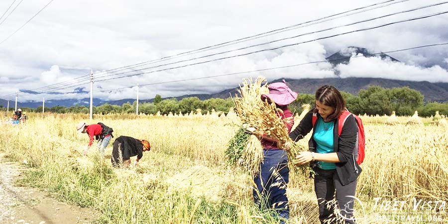 Farm Work