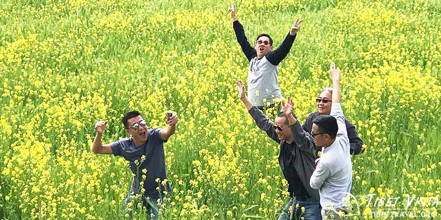 Sea of Rapeseed Flowers