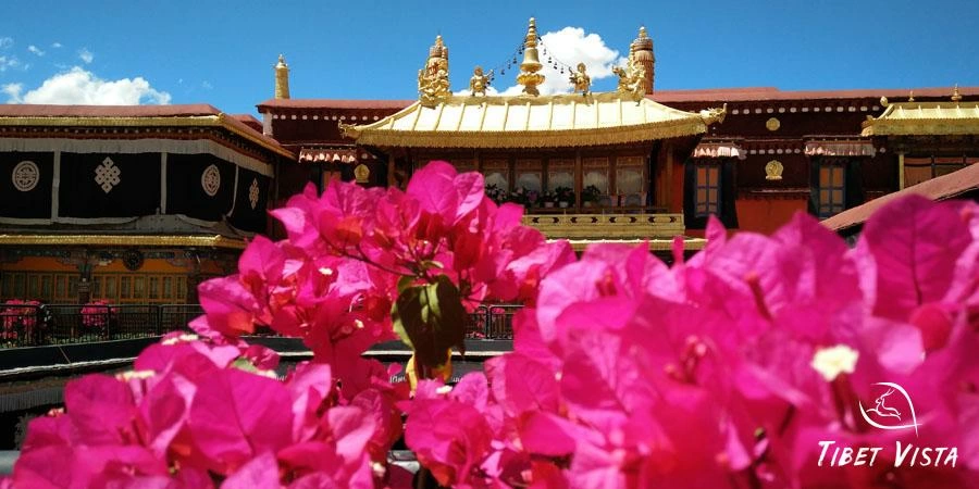 Lhasa city high tour