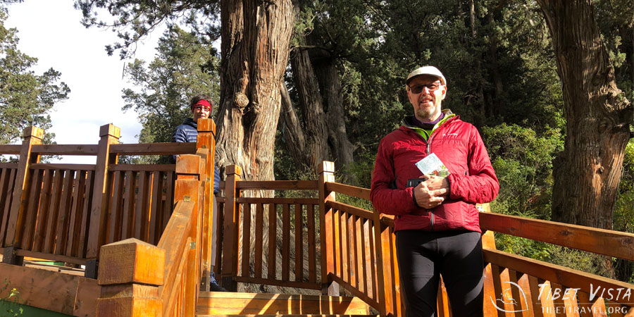 Standing next to the world&rsquo;s oldest trees in Nyingchi