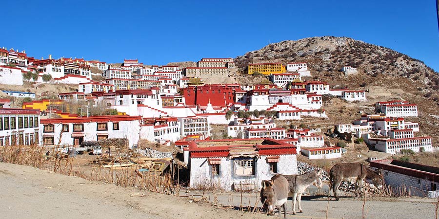 ganden monastery cover