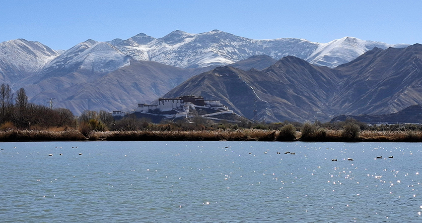 Lalu Wetland with Potala Palace in distance