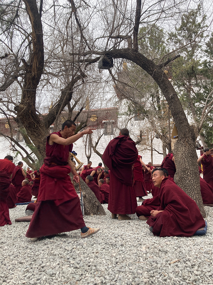 Sera Monastery Monastic Debate