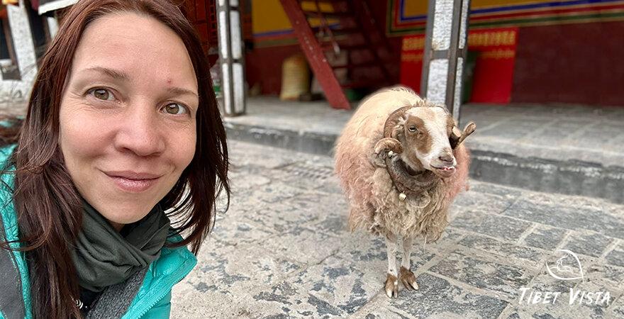An Unforgettable Lhasa to Everest Base Camp Journey with Tibet Vista