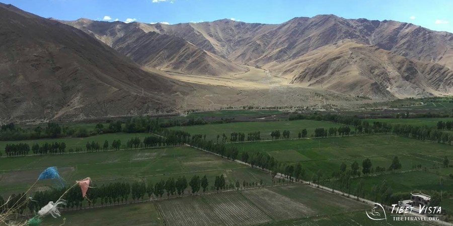 Tibet Farmland