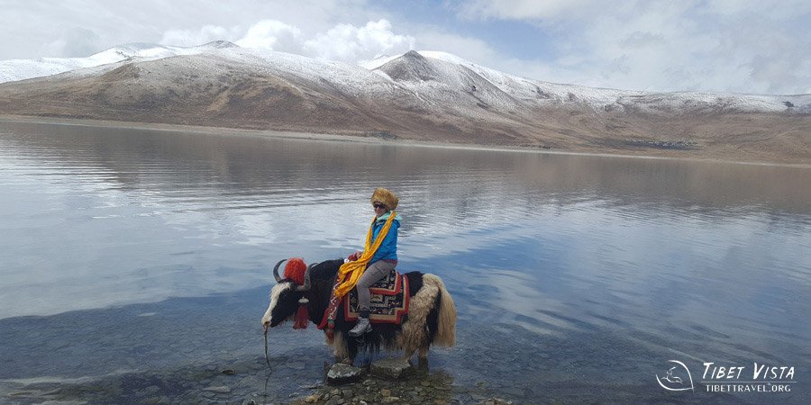 Tibetan Yamdrok Lake