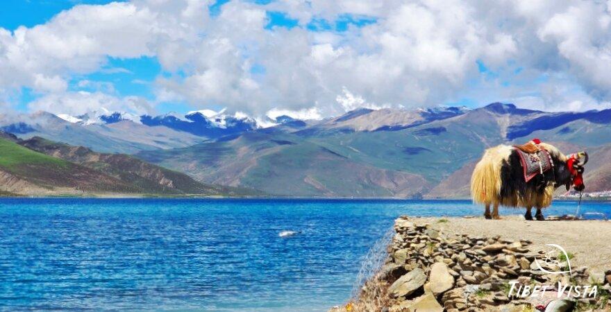 My Unforgettable Mount Everest Tour: A Life-changing Journey on the Roof of the World