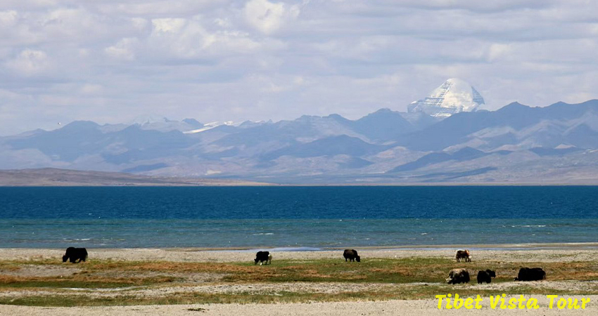 Mount Kailash stands tall over the serene Lake Manasarovar