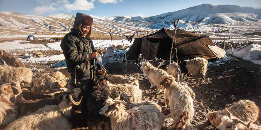 Tibetan Nomads living on highland