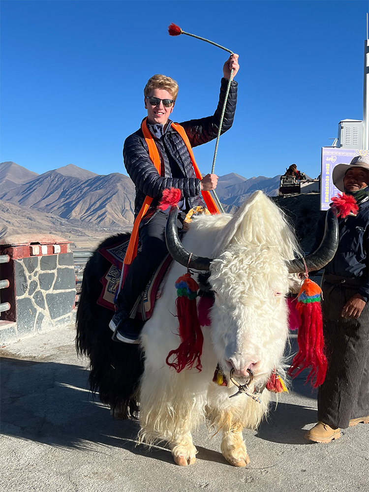 Ride a decorated Tibetan yak on Lhasa to Shigatse road